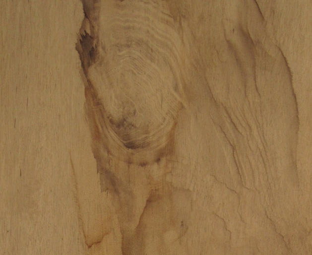 Limba