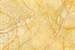 Jaune fleuri