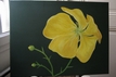 Peinture sur toiles